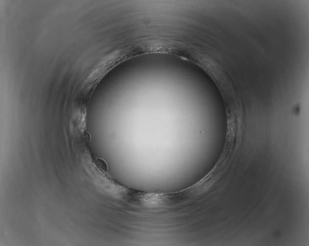 X0000116810142200912181353