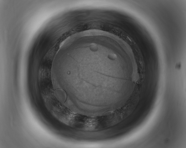 X0000116810143200912181353