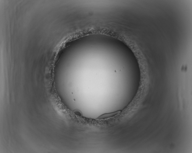 X0000116810144200912181353