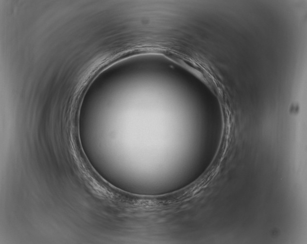 X0000116810145200912181352