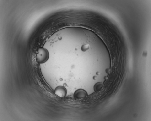 X0000116810146200912181352