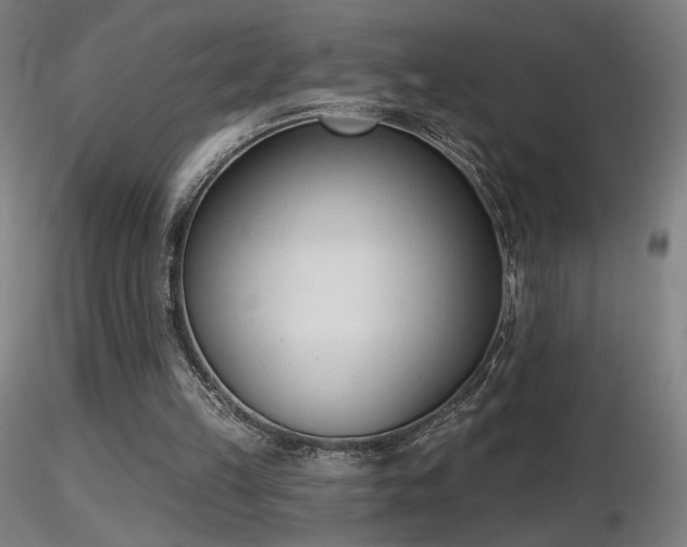 X0000116810149200912181352