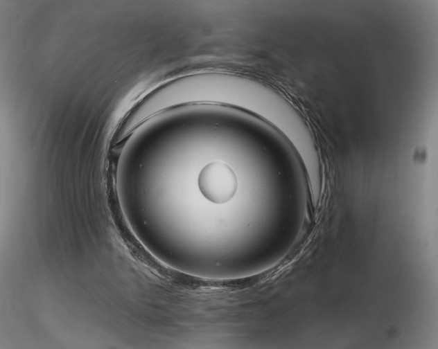 X0000116810150200912181352