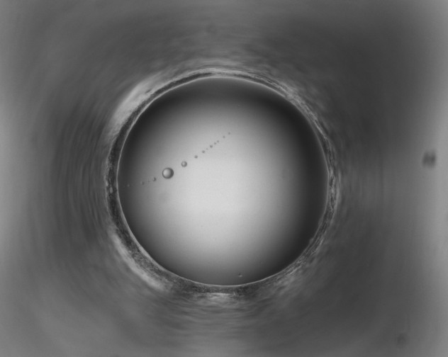 X0000116810151200912181353