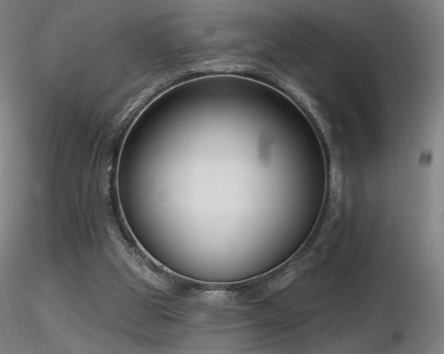 X0000116810153200912181353