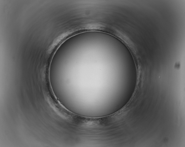 X0000116810155200912181353