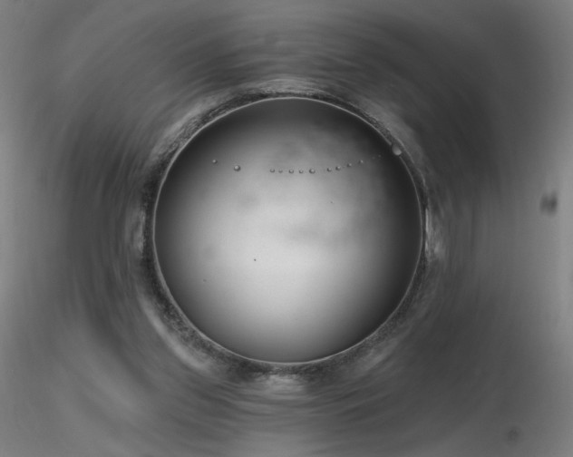 X0000116810157200912181353