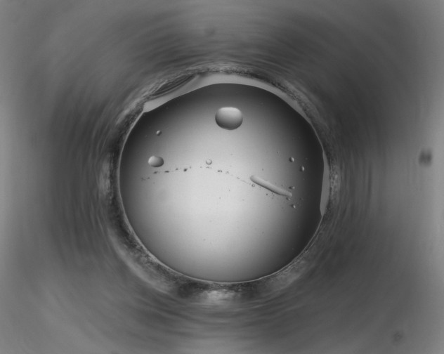 X0000116810158200912181353