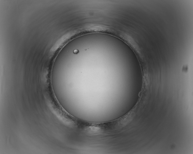 X0000116810159200912181353