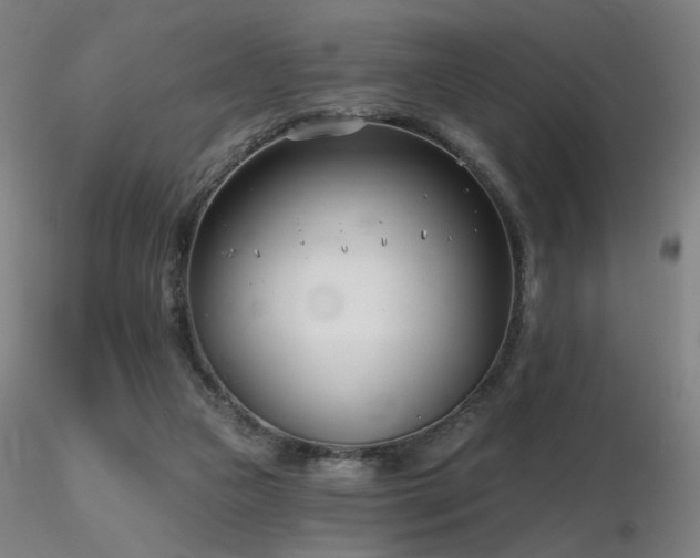 X0000116810161200912181353