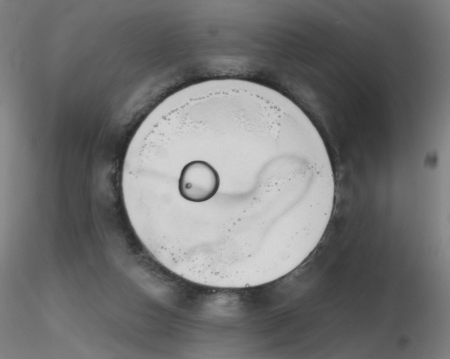 X0000116810162200912181353