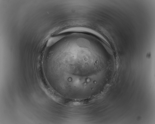 X0000116810163200912181353