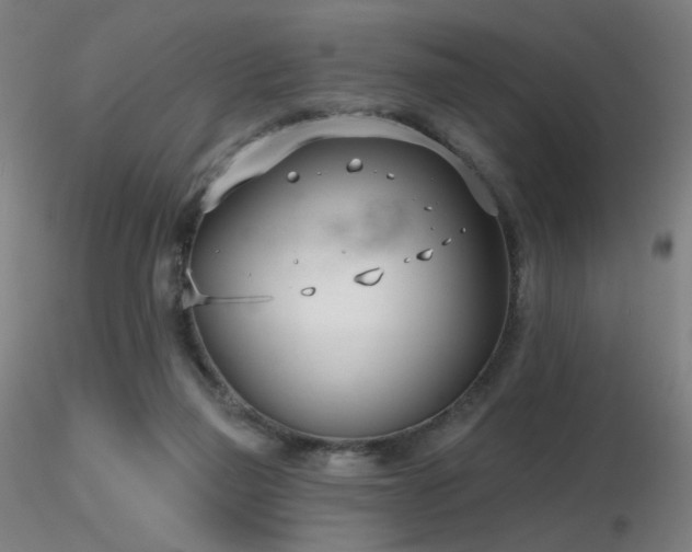 X0000116810165200912181353