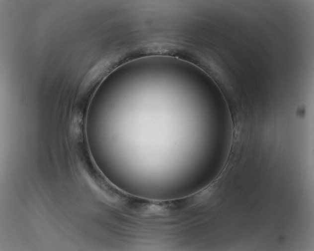 X0000116810166200912181353