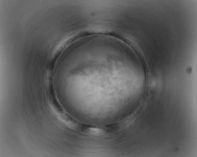 X0000116810167200912181353