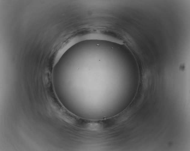 X0000116810169200912181353