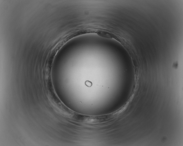 X0000116810174200912181353