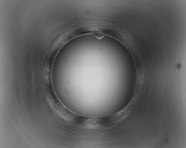 X0000116810175200912181353