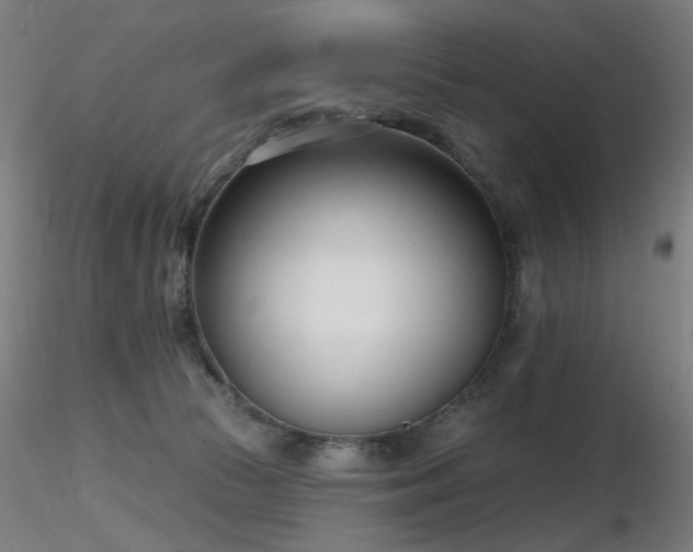 X0000116810177200912181353