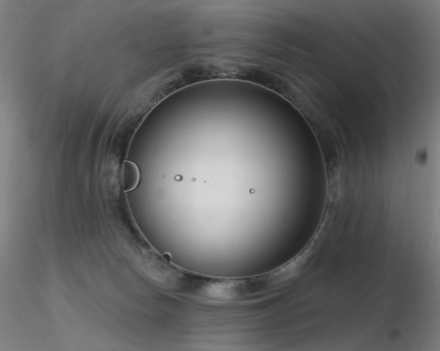 X0000116810178200912181353