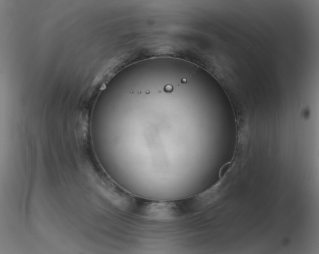 X0000116810179200912181353