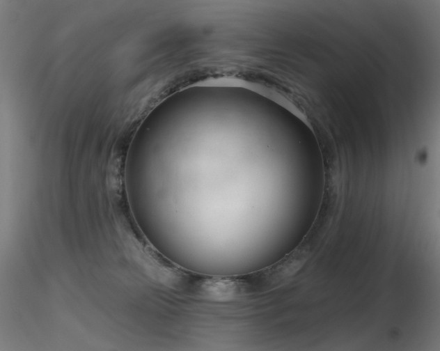 X0000116810181200912181353