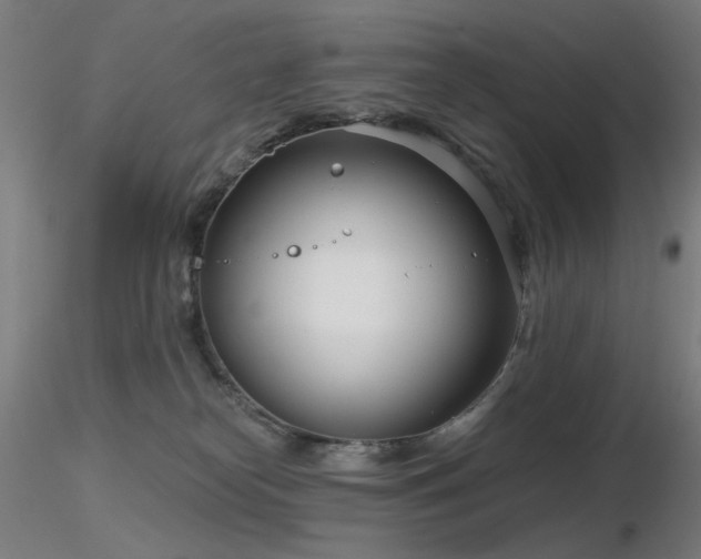 X0000116810182200912181353