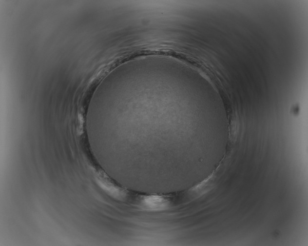 X0000116810183200912181353