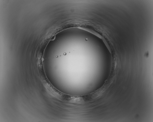 X0000116810185200912181353