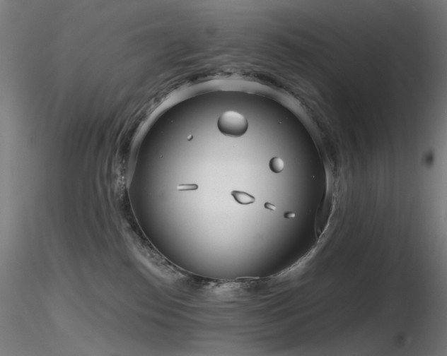 X0000116810186200912181353