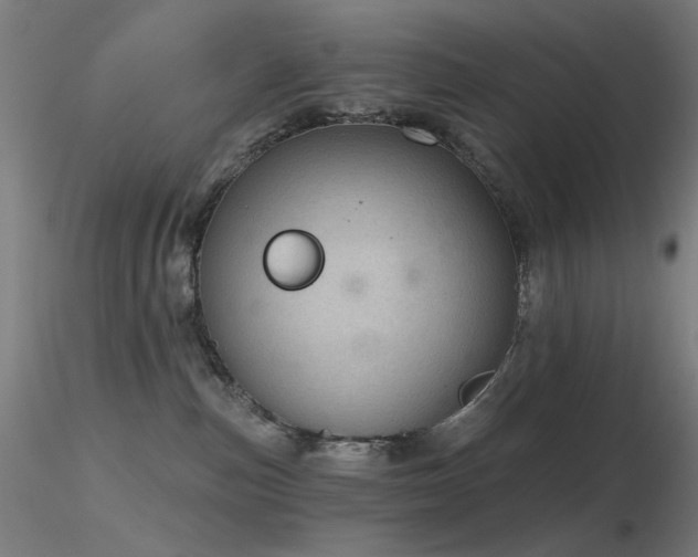 X0000116810187200912181353