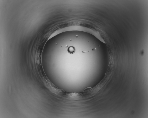 X0000116810189200912181353