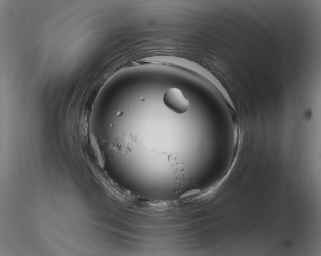 X0000116810190200912181353