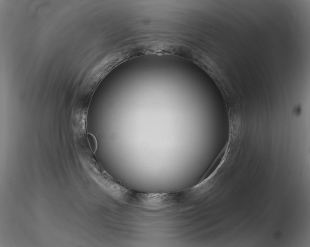 X0000116810191200912181353