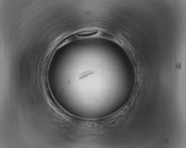 X0000116810193200912181352