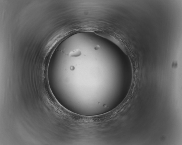 X0000116810194200912181352