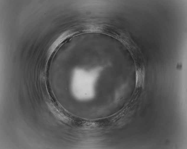 X0000116810195200912181352