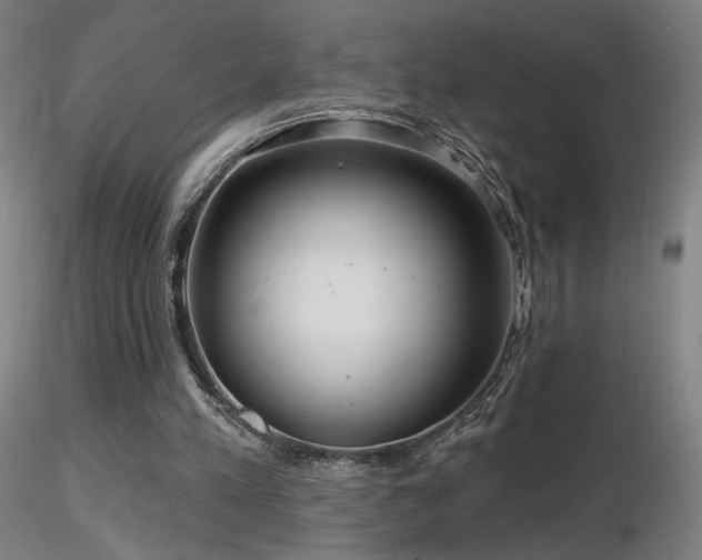 X0000116810197200912181352