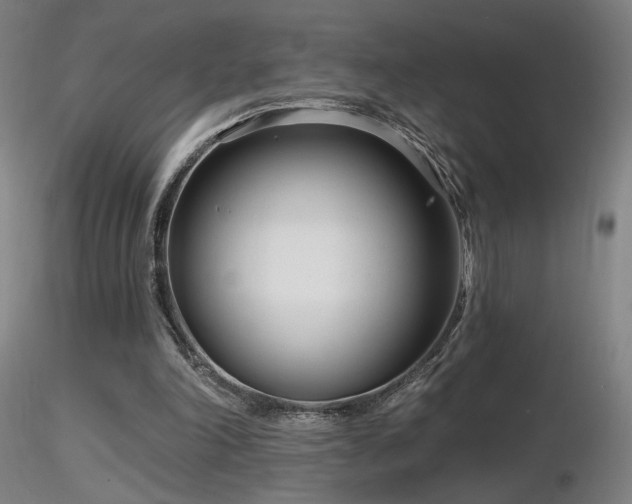 X0000116810198200912181352