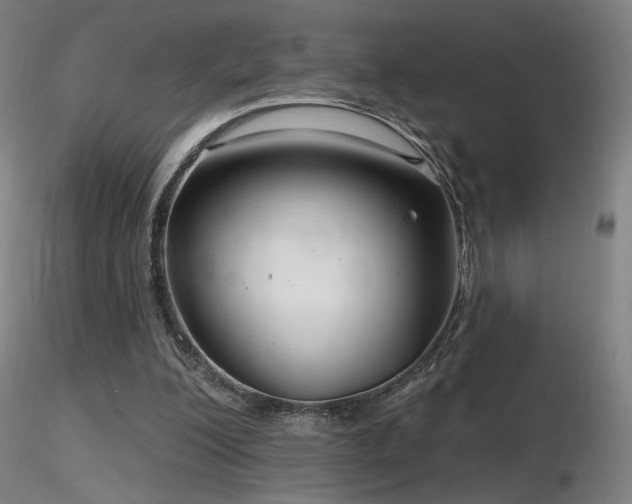 X0000116810200200912181352