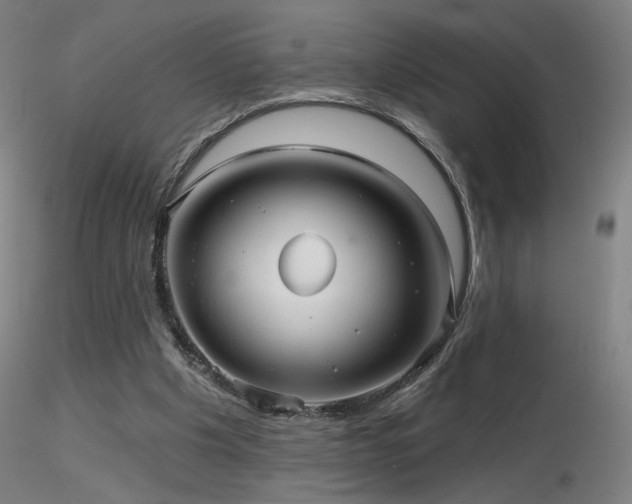 X0000116810201200912181352