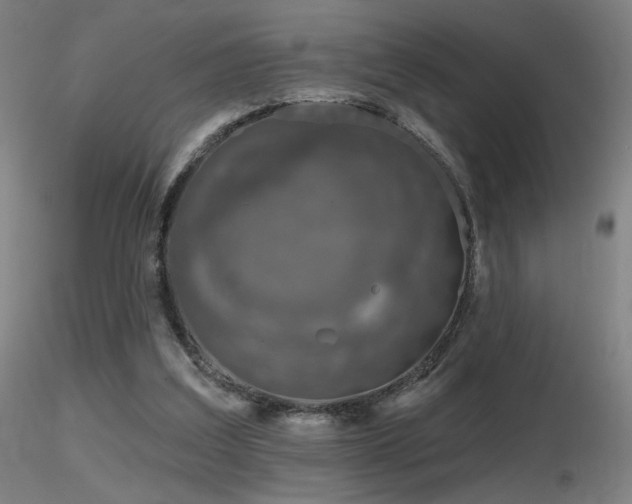 X0000116810203200912181352