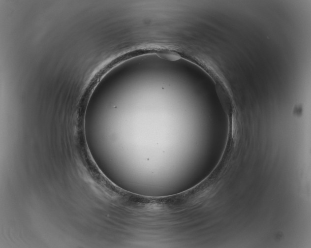 X0000116810204200912181352