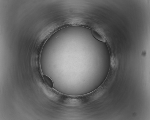 X0000116810205200912181352