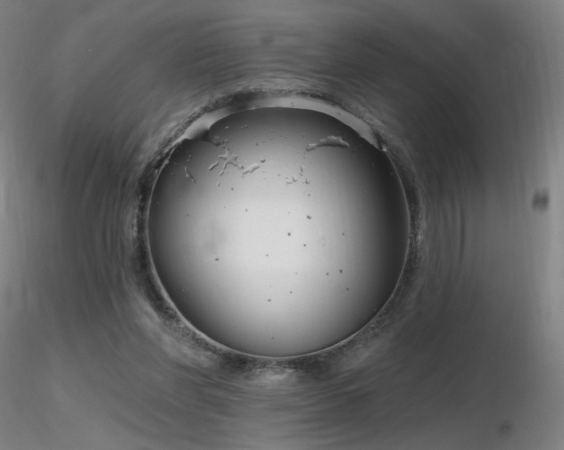 X0000116810206200912181352