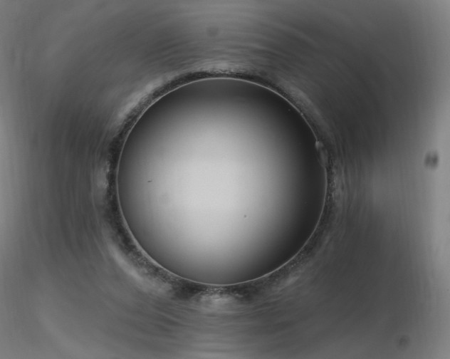 X0000116810208200912181352