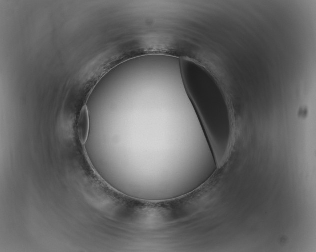 X0000116810209200912181352