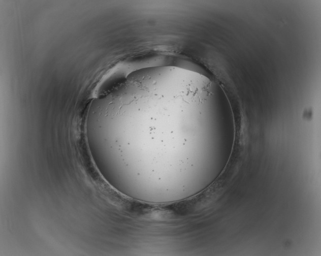 X0000116810210200912181352