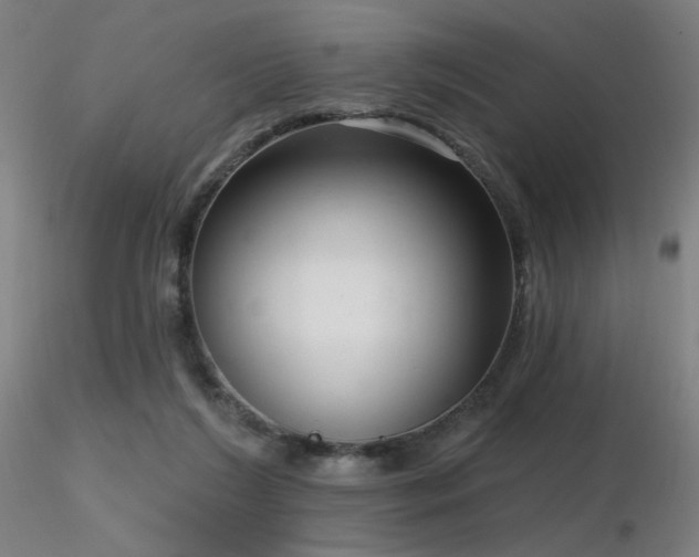 X0000116810212200912181352