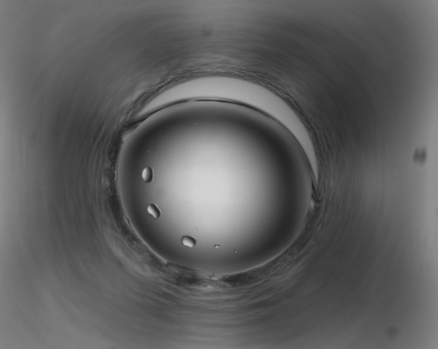 X0000116810215200912181352